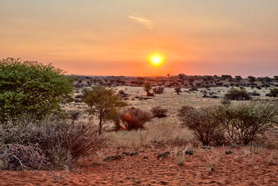 Sonnenuntergang (Kalahari, Namibia)