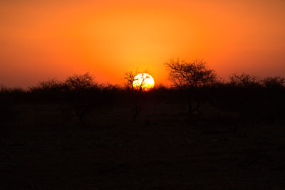 Sonnenuntergang (Etosha-Nationalpark, Namibia)