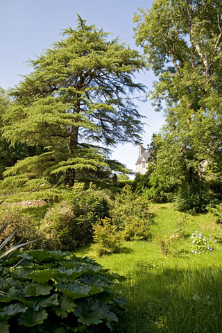 Park von Torosay Castle (Isle of Mull, Schottland)