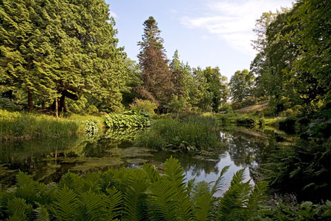 Park von Torosay Castle (Isle of Mull, Schottland)