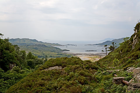 Kentra Bay (Schottland)