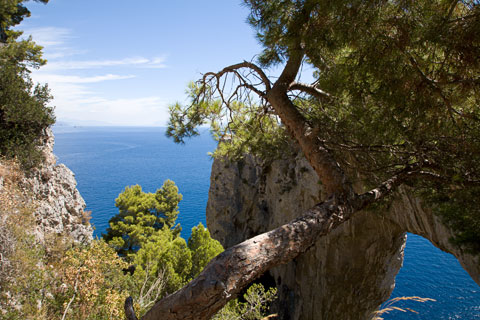 Arco Naturale (Capri, Italien)