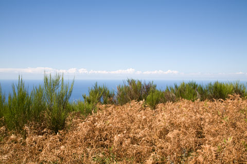 Am Monte Stella (Cilento, Italien)