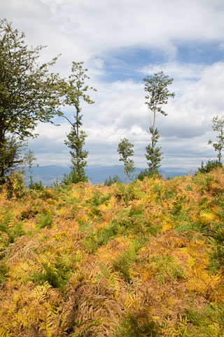 Am Monte Stella (Cilento, Italien)