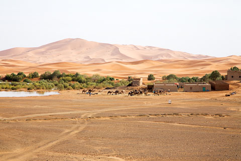 Erg Chebbi (bei Erfoud, Marokko)