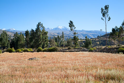 Colca-Canyon: Blick auf die Vulkane Ambato und Sabancaya (Peru)