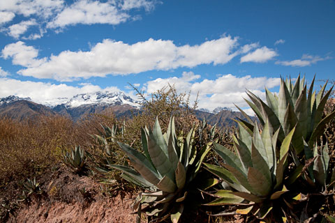 Heiliges Tal (Peru)