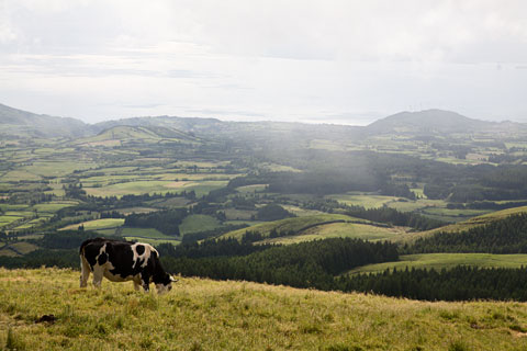 Blick von der Caldeira (Faial/Azoren)