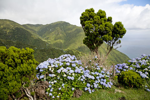 Berge an der Nordküste (São Jorge/Azoren)