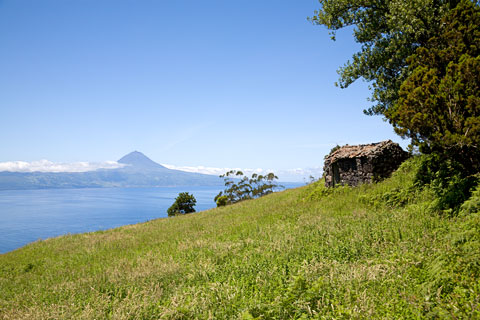 Südküste mit Blick auf den Pico (São Jorge/Azoren)