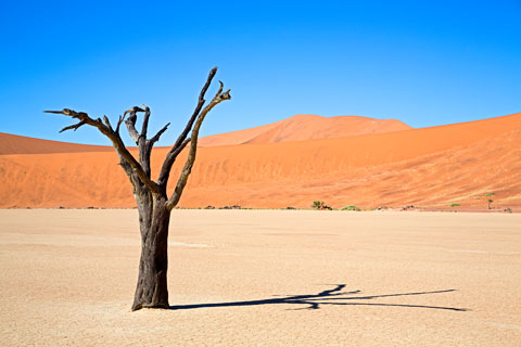 Namibia: Deadvlei (2012)
