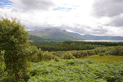 Isle of Mull: Landschaft nahe Salen (Loch Na Keal)